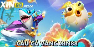 Câu cá vàng Xin88: Giới thiệu siêu phẩm đến từ sảnh TP