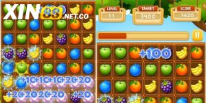 Trái cây nổ XIN88