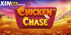 Vua đá gà Xin88: hướng dẫn cá cược slot đầy thú vị